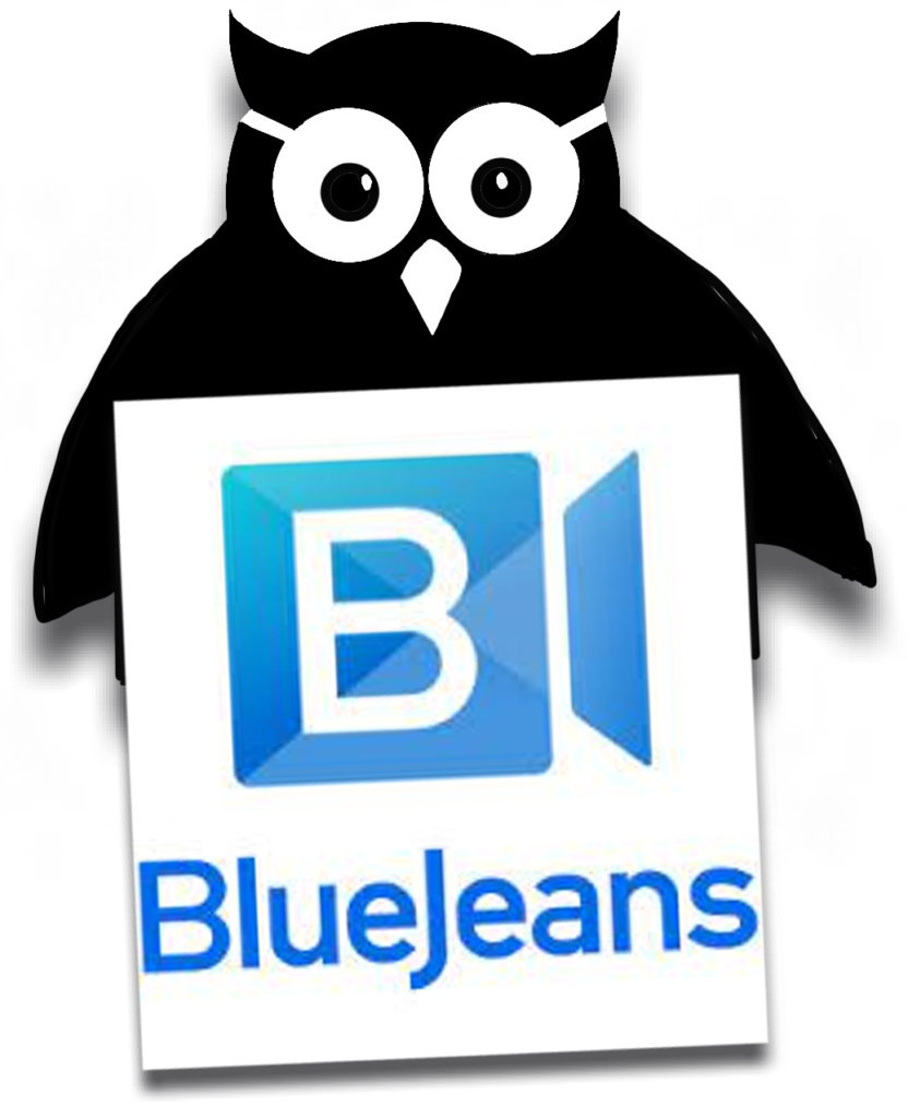 BlueJeans Intro image