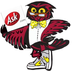 image of owl holding the ask.com button